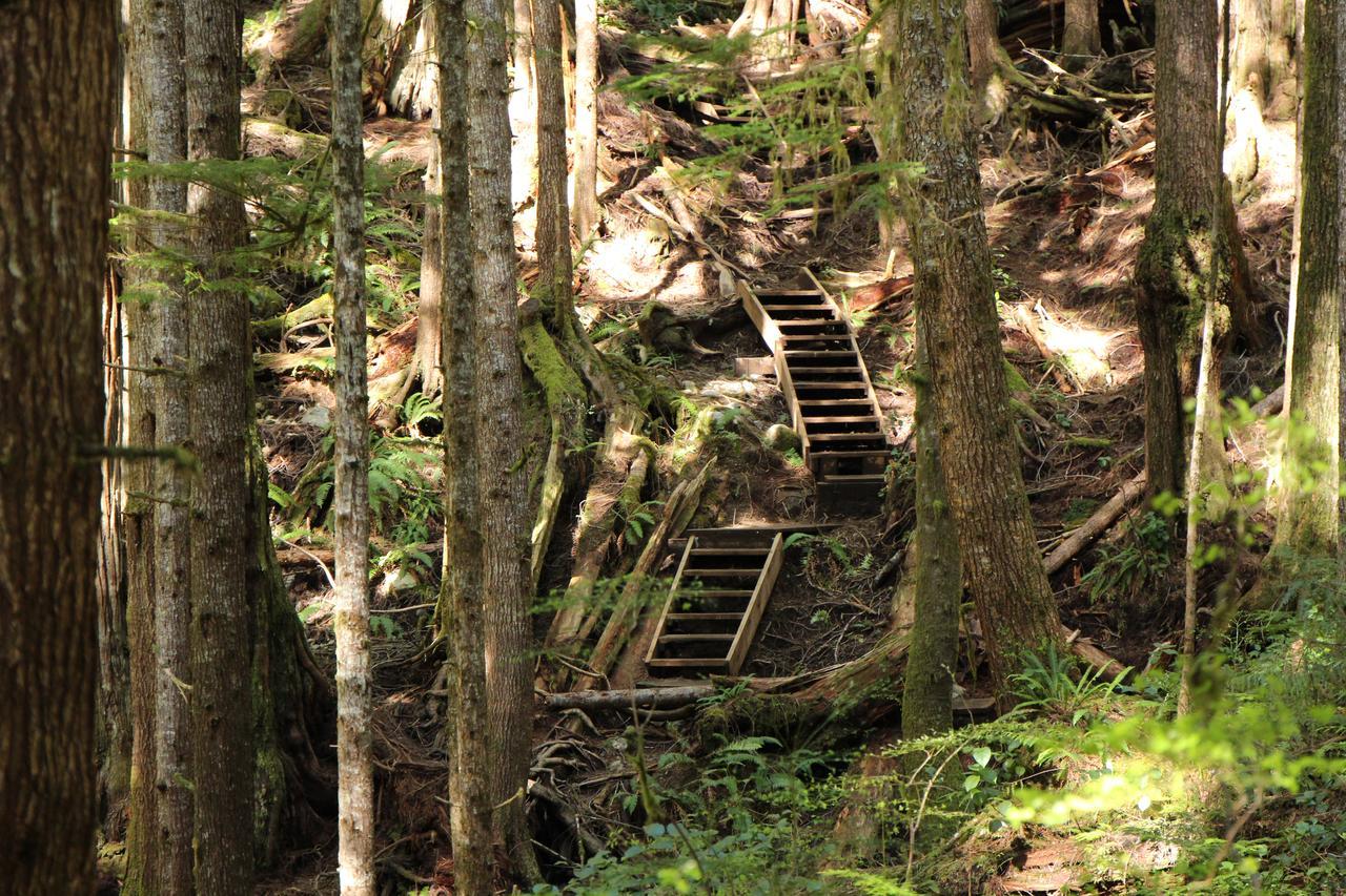 Tilby'S Rainbow Cottage Port Renfrew Exterior foto